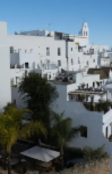 Las Palmeras del Califa