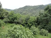 la casa sull'arcobaleno - 民宿
