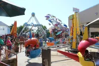 Oceanus Motel - Rehoboth Beach Hotels in Dewey Beach