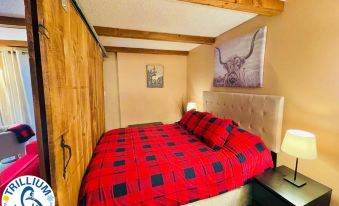 Rustic Mountainside Chalet