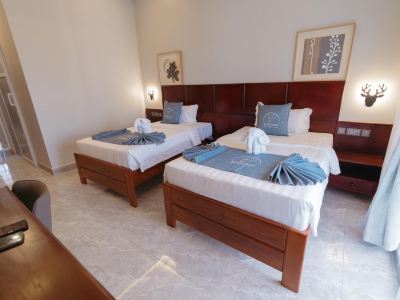 Elephanto Hotel LTD