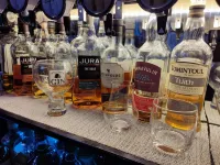 Blue Waters Lodge - bar