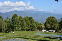 Puri Lebah North Bali
