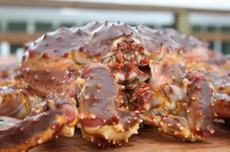 Adventure Camp Mehamn