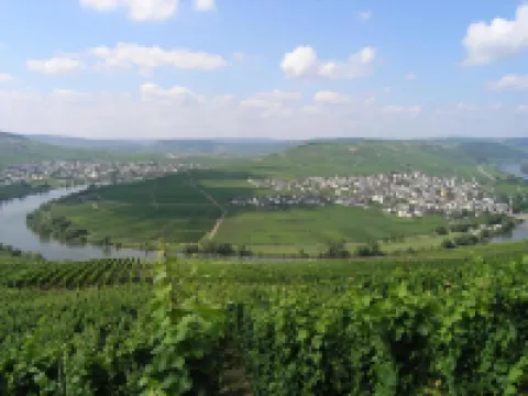 Gästehaus Mack - Mosel Rooms & Restaurant Hotels in Trittenheim