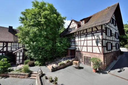 Hotel Dammuhle Отели в г. Бад-Эндбах