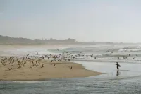 Quinta da Quinhas
