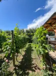La Vita e Bella  Cabanas en San Rafael - Homestays