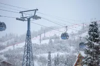 Ski Inn