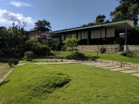 The Museum