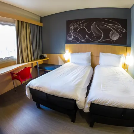 Ibis Imperatriz