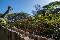 Casa Marimba Hotels in 