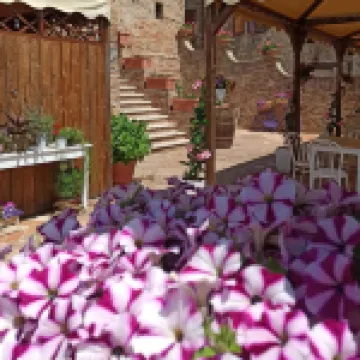 อัลแบร์โก ดิฟฟูโซ บอร์โกมอนเตมัจโจเร โรงแรมใน