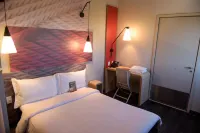 Ibis Tatuí