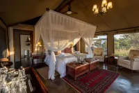 Safari Plains Hotels near Zaagkuilsdrift Bird Sanctuary And Lodge