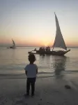 Maua Beach Hotels in Kizimkazi Dimbani