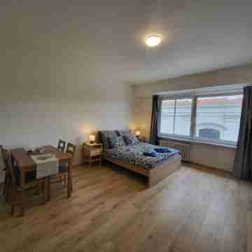 City Center Apartments - Moderna Brno Římské náměstí IV Others