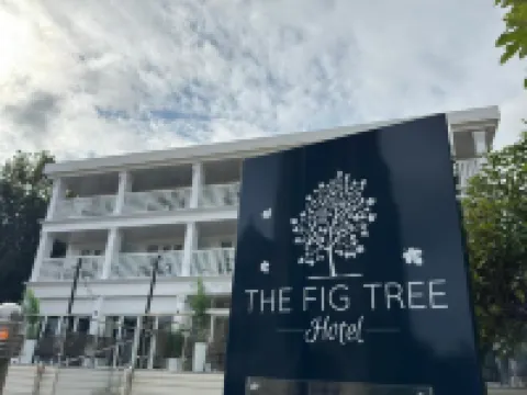 The Fig Tree Shanklin Hotels in Shanklin