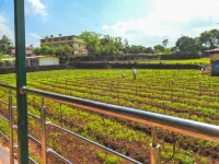 Evergreen Holidays Mahabaleshwar Hotels in Avakali