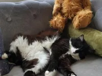 Hotel le Centre Hotels in Gramat