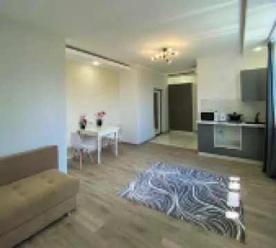 Гостиница Астина