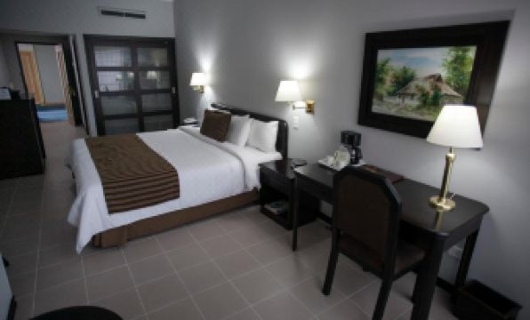 Hotel Internacional la Triada