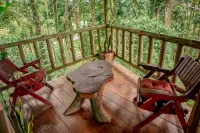 Hotel del Bosque