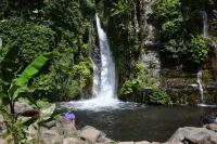 Puri Lebah North Bali