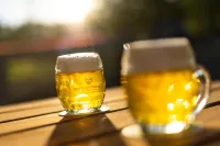 Prague Camping Dzban - bar