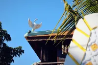 Thien Y Villas - 4-Star