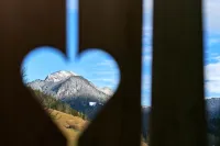 Boutique Hotel Vila Planinka - Mountain view