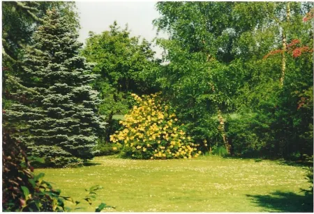 Gästehaus Hankhausen Отели в г. Яде