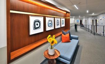 Unscripted Durham - JDV by Hyatt