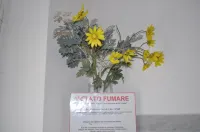 Affittacamere Elisa