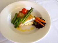 Town & Country Motor Inn Hotels in Forbes