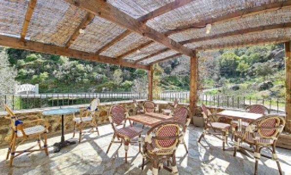 A Guinguetta - Housity