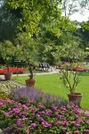 Heidehotel Bad Bevensen