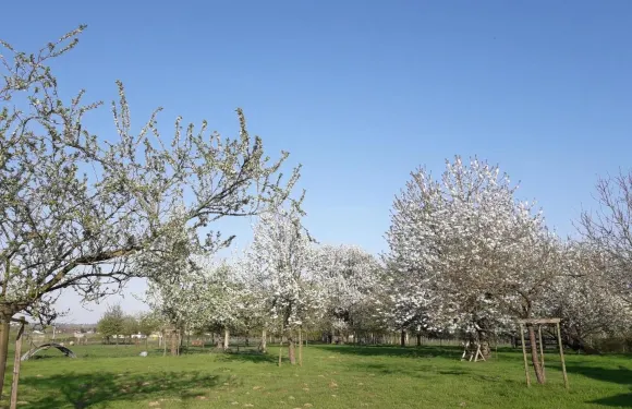 穆森澤勒住宿加早餐旅館