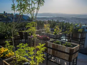 Hotel Amatte San Miguel de Allende