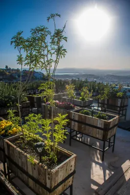Hotel Amatte San Miguel de Allende Hotels in 