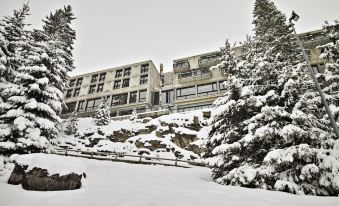 Totem, Friendly Hotel & Spa