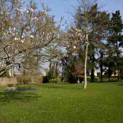Hôtel - Restaurant Le Lion d'Or Hotel Exterior