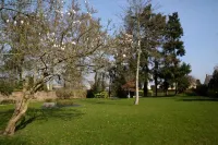 Hotel Restaurant le Lion d'Or Hotels in Isigny-le-Buat