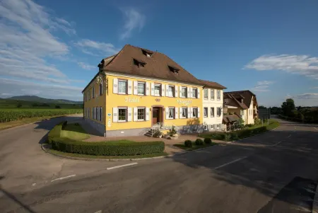 Kreuz-Post Hotel-Restaurant-Spa Отели в г. Фогтсбург