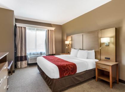 컴포트 스위트 부시 인터컨티넨털 에어포트