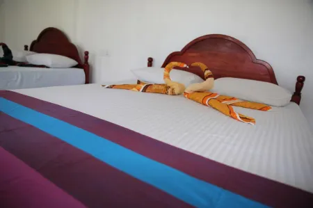 The Tea View Guest Ella