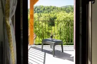 Logis Hotel des Vosges - Mountain View