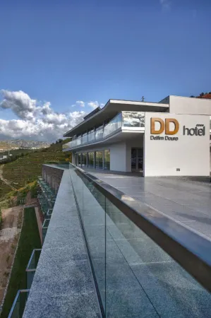 Delfim Douro Hotel Отели рядом с достопримечательностью «Rancho Folclórico da CASA do POVO de Barqueiros, Mesão Frio- Douro»