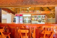 Gecko Inn - bar