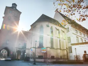 Logis Hôtel Ettenheim